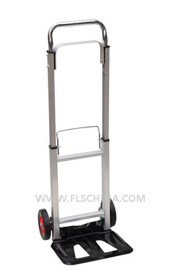 FH-009