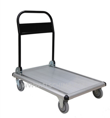 FH-006