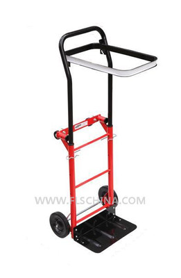 FH-012